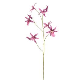 CYMBIDIUM 103CM LAVENDER