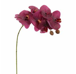 PHALAENOPSIS 60CM BURGUNDY