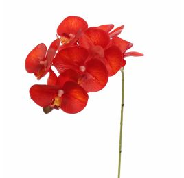 PHALAENOPSIS 60CM ORANGE