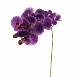 PHALAENOPSIS 60CM PURPLE