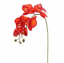 PHALAENOPSIS 85CM ORANGE