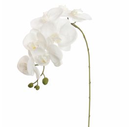 PHALAENOPSIS 85CM WHITE