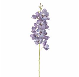 VANDA 70CM BLUE