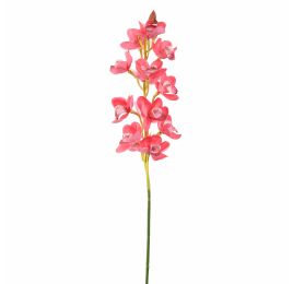 CYMBIDIUM 75CM BEAUTY