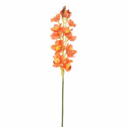 CYMBIDIUM 75CM ORANGE