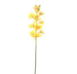 CYMBIDIUM 75CM YELLOW