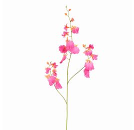 DANCING ORCHID 100CM BEAUTY