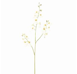 DANCING ORCHID 100CM WHITE