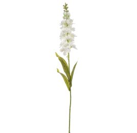 DELPHINIUM 85CM CREAM