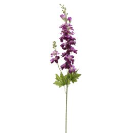 DELPHINIUM 80CM BURGUNDY