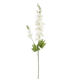 DELPHINIUM 80CM CREAM