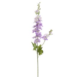 DELPHINIUM 80CM LAVENDER