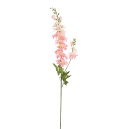DELPHINIUM 80CM PINK