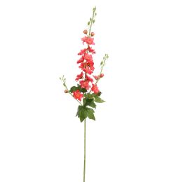 DELPHINIUM 95CM CORAL