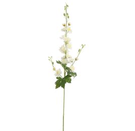 DELPHINIUM 95CM CREAM