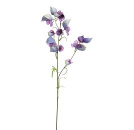 ACONITUM 80CM BLUE