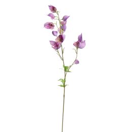ACONITUM 80CM LAVENDER