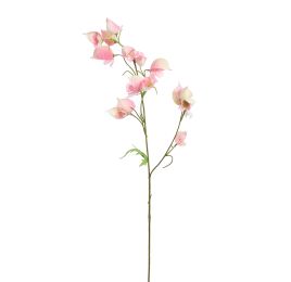 ACONITUM 80CM PINK
