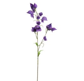 ACONITUM 80CM PURPLE