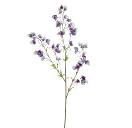 LARGE ACONITUM 120CM BLUE