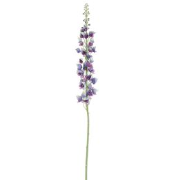 SINGLE ACONITUM 135CM BLUE