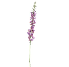 SINGLE ACONITUM 135CM LAVENDER