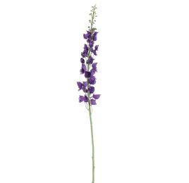 SINGLE ACONITUM 135CM PURPLE