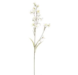 SLIM DELPHINIUM 75CM CREAM