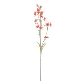 SLIM DELPHINIUM 75CM TERRACOTTA