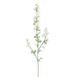 DELPHINIUM 95CM CREAM