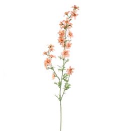 DELPHINIUM 95CM SALMON