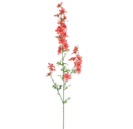 DELPHINIUM 95CM TERRACOTTA