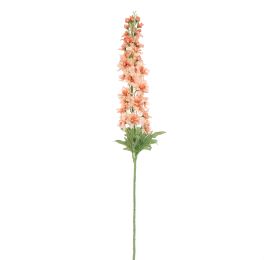 DELPHINIUM 110CM SALMON