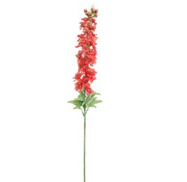 DELPHINIUM 110CM TERRACOTTA