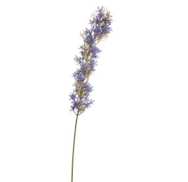 FLOWER ASPARAGUS 115CM BLUE
