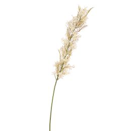 FLOWER ASPARAGUS 115CM CREAM