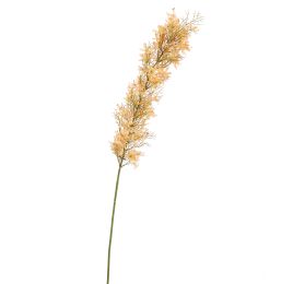 FLOWER ASPARAGUS 115CM PEACH