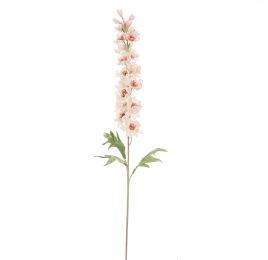 DELPHINIUM 89CM CREAM PINK