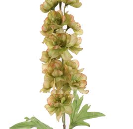 DELPHINIUM 89CM GREEN