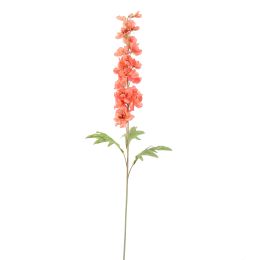 DELPHINIUM 89CM SALMON