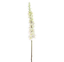 DELPHINIUM 135CM CREAM