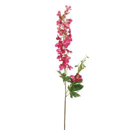 DELPHINIUM 80CM BEAUTY