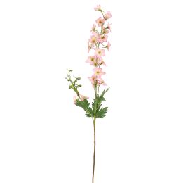 DELPHINIUM 80CM PINK