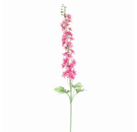 DELPHINIUM 127CM BEAUTY