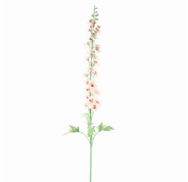 DELPHINIUM 127CM CREAM