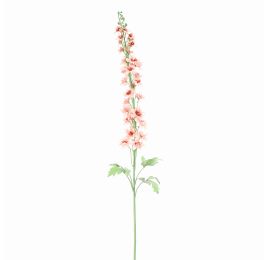 DELPHINIUM 127CM PEACH