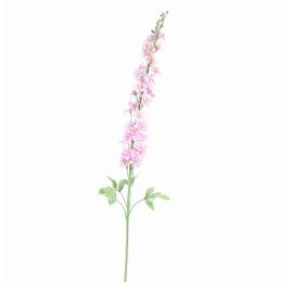 DELPHINIUM 127CM PINK
