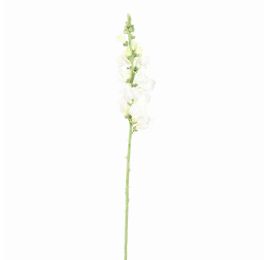 SNAPDRAGONS 81CM WHITE