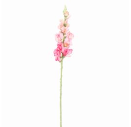 SNAPDRAGONS 81CM PINK