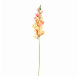 SNAPDRAGONS 81CM SALMON